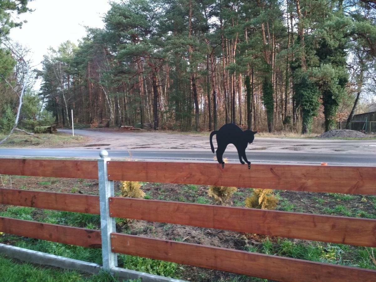 Koci Grzbiet Agroturystyka Dzierzazno Wielkie Exterior foto