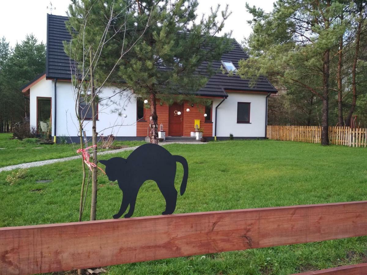 Koci Grzbiet Agroturystyka Dzierzazno Wielkie Exterior foto