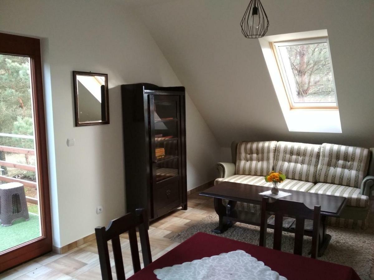 Koci Grzbiet Agroturystyka Dzierzazno Wielkie Exterior foto