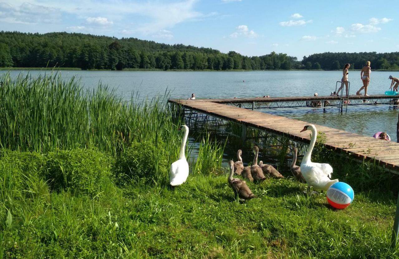 Koci Grzbiet Agroturystyka Dzierzazno Wielkie Exterior foto