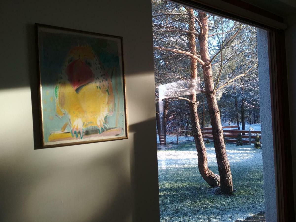 Koci Grzbiet Agroturystyka Dzierzazno Wielkie Exterior foto
