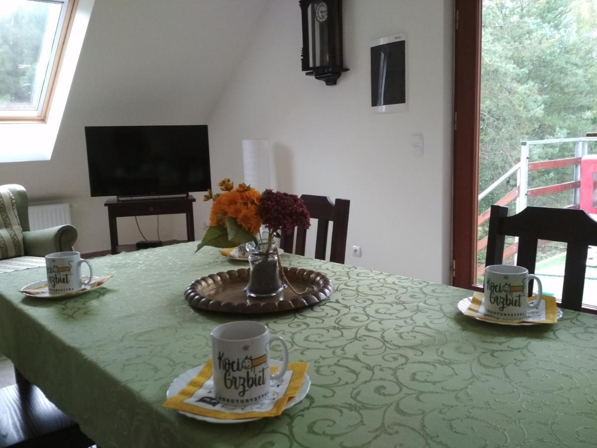 Koci Grzbiet Agroturystyka Dzierzazno Wielkie Exterior foto