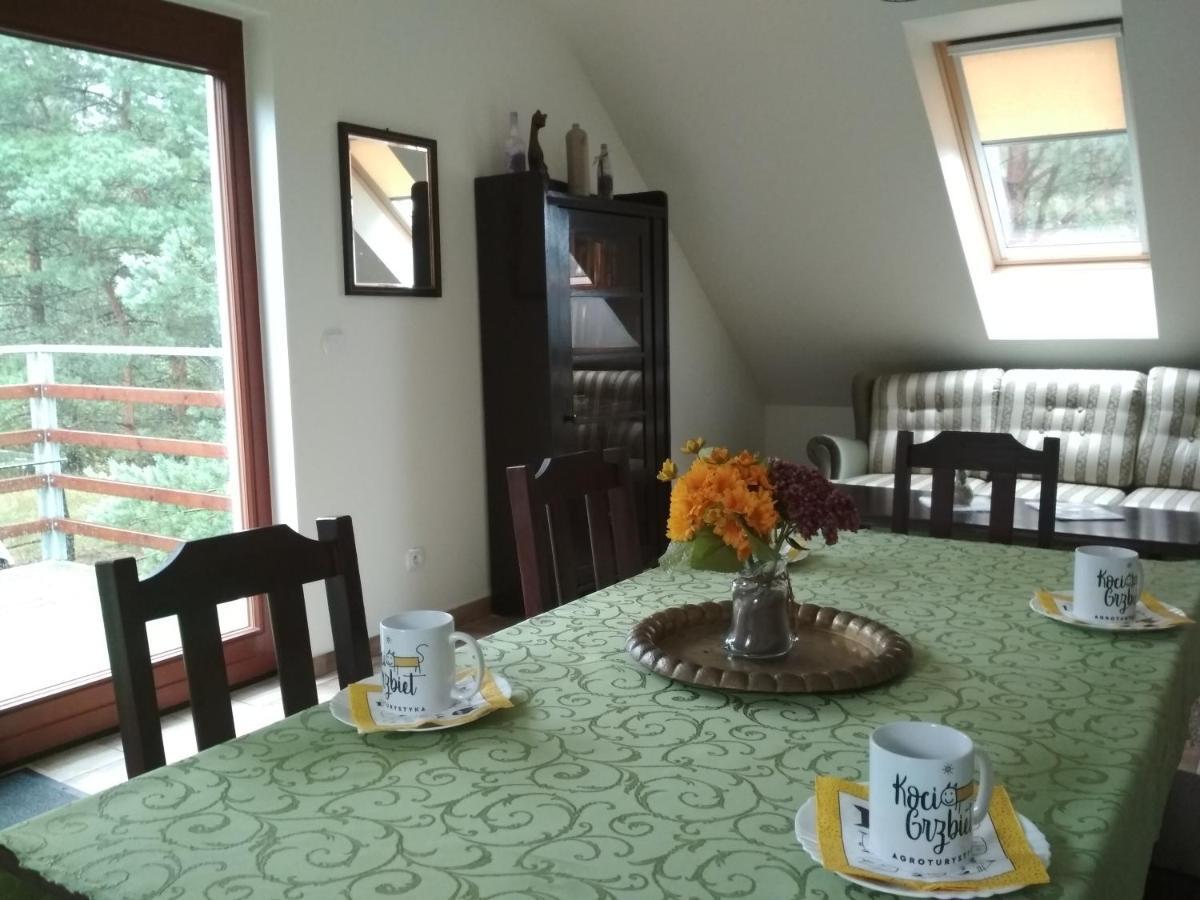 Koci Grzbiet Agroturystyka Dzierzazno Wielkie Exterior foto